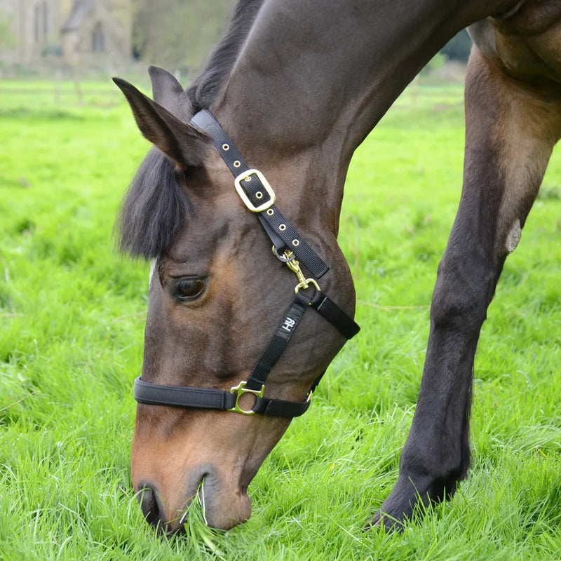 Hy Equestrian Fieldsafe Headcollar