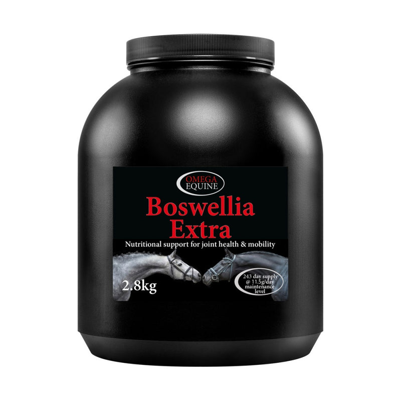 Omega Equine Boswellia Extra