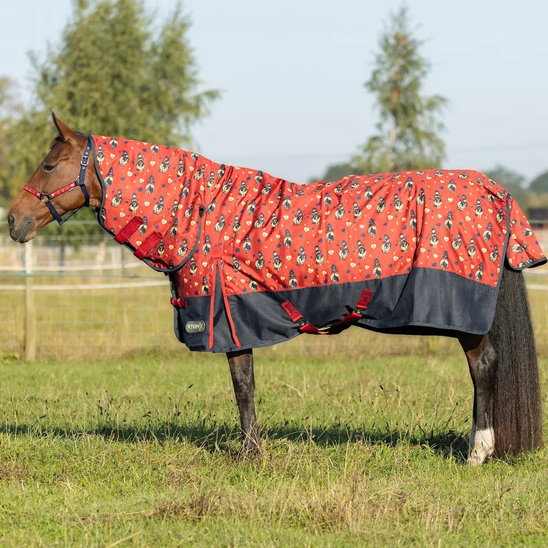 Hy StormX Original 200g Turnout Rug Thelwell Collection Balancing Act