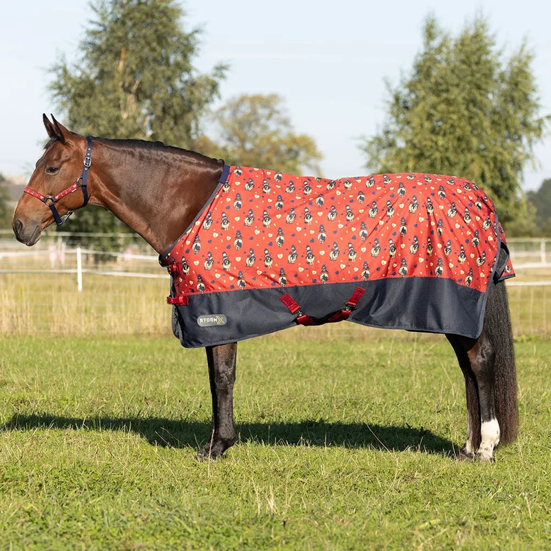 Hy StormX Original 50g Turnout Rug Thelwell Collection Balancing Act