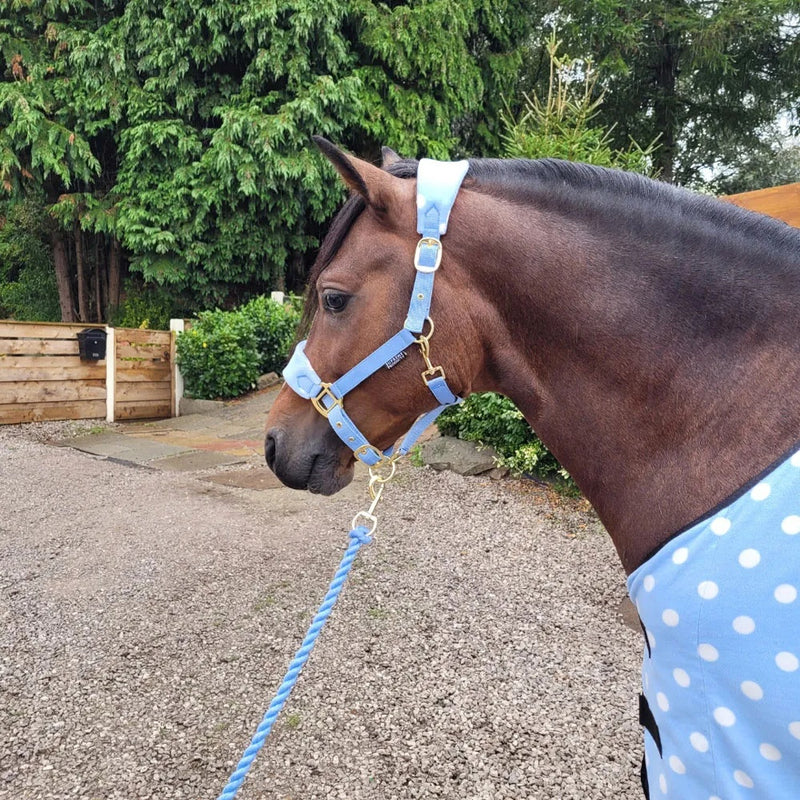 Supreme Products Dotty Fleece Headcollar & Lead Rope