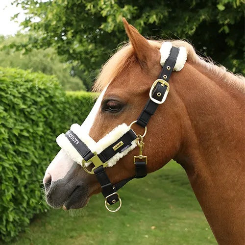 Supreme Products Royal Occasion Headcollar