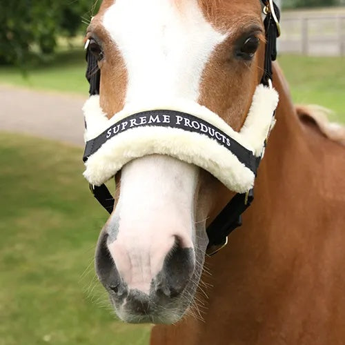 Supreme Products Royal Occasion Headcollar