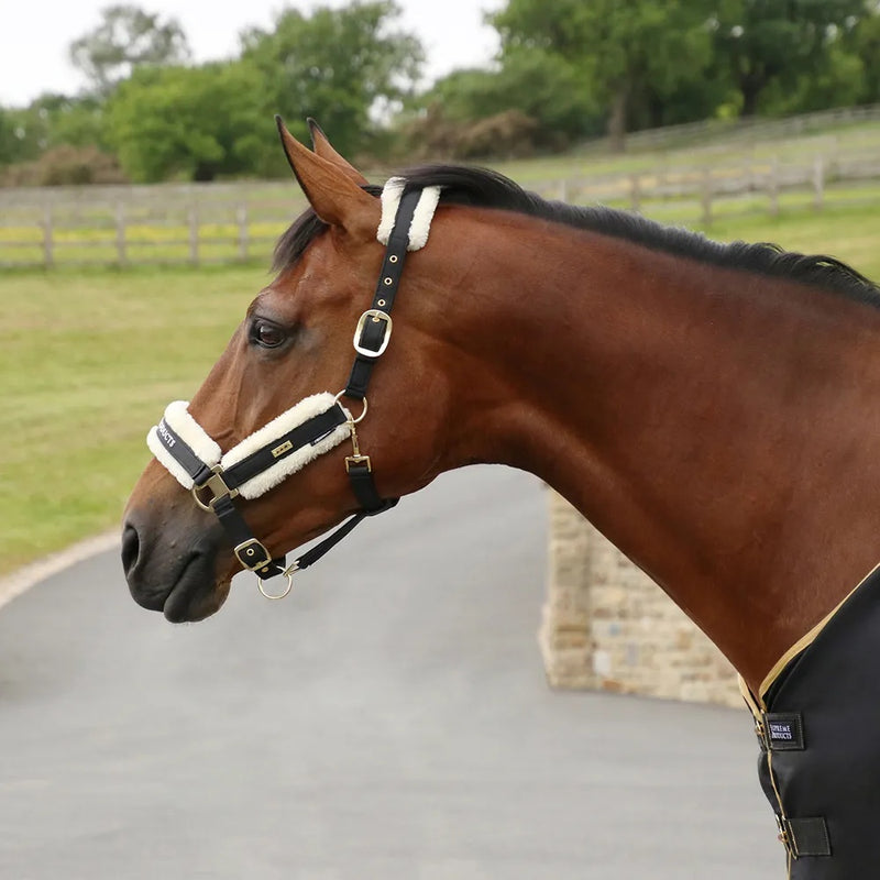 Supreme Products Royal Occasion Headcollar