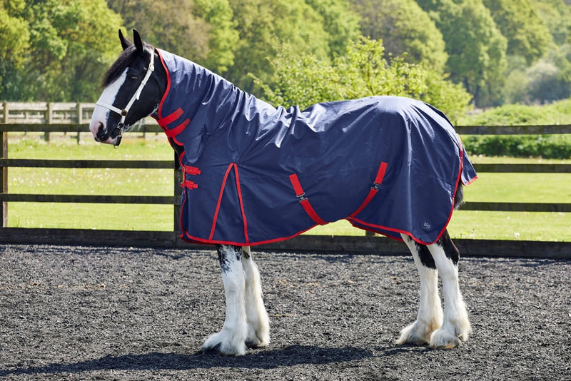 Firefoot Turnout Rug Fixed Neck 100g