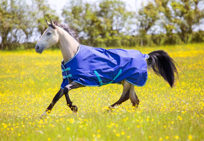 Shires Tempest Original 100 Turnout Rug