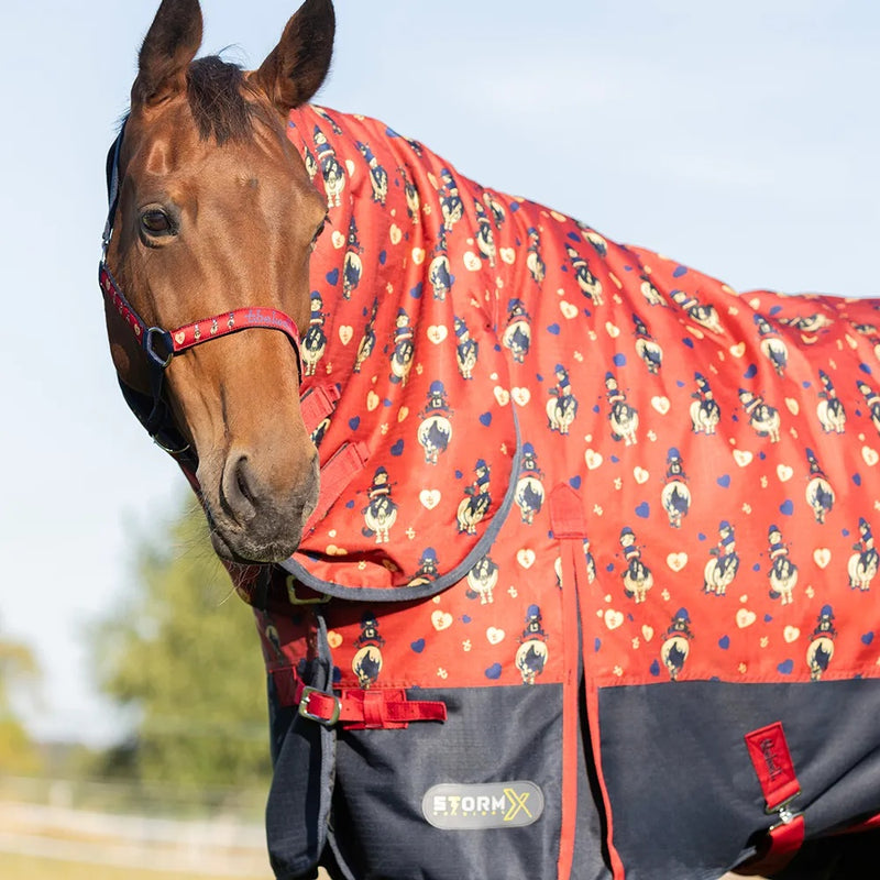 Hy StormX Original 200g Turnout Rug Thelwell Collection Balancing Act