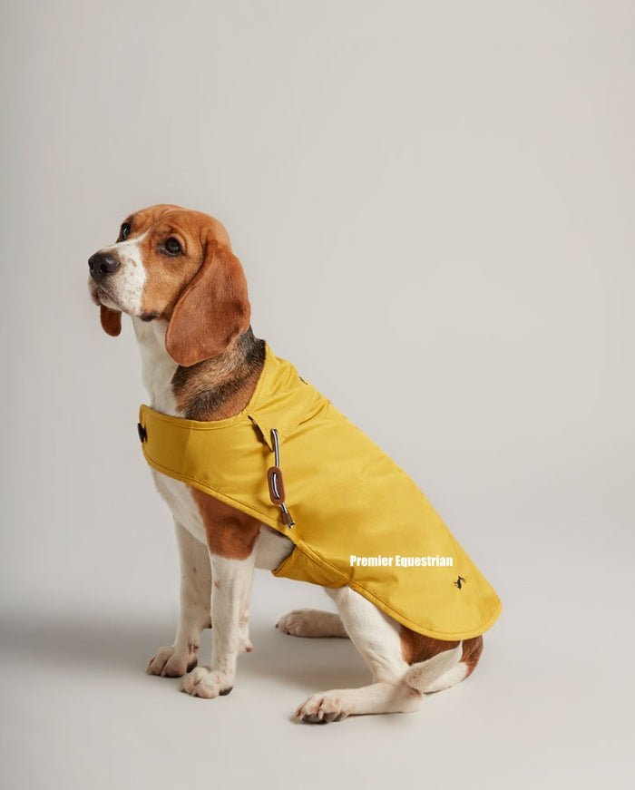 Joules raincoat dogs best sale